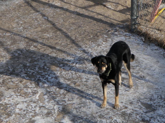 Libby professional soalr installation supervisor